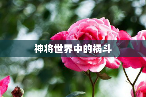 神将世界中的祸斗图片