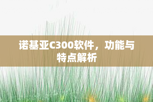 诺基亚C300软件图片