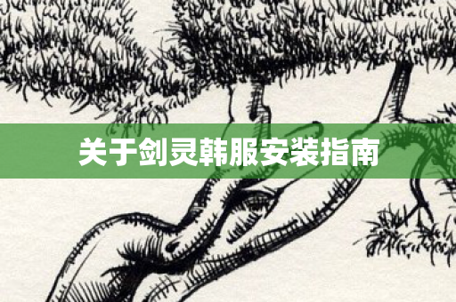 关于剑灵韩服安装指南图片