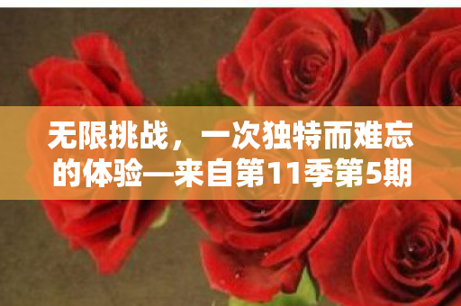 来自第11季第5期的挑战之旅图片