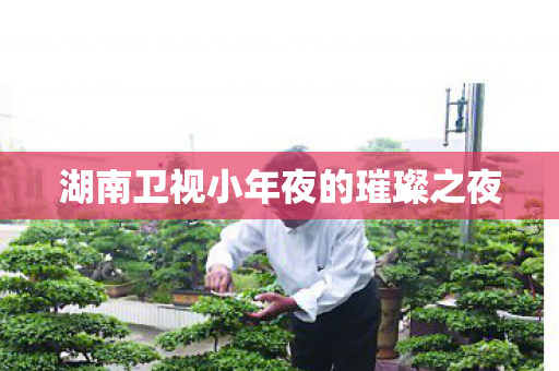 湖南卫视小年夜的璀璨之夜图片