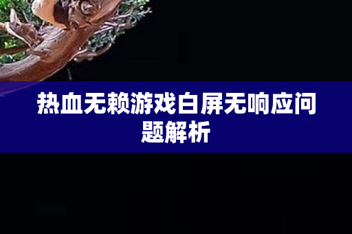 热血无赖游戏白屏无响应问题解析图片