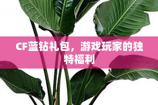 游戏玩家的独特福利图片