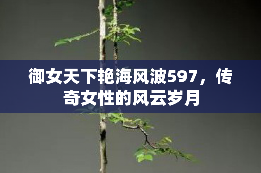 御女天下艳海风波597图片