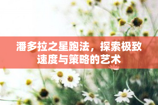 探索极致速度与策略的艺术图片