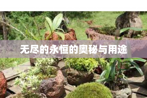 无尽的永恒的奥秘与用途图片