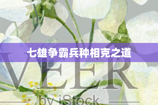 七雄争霸兵种相克之道图片