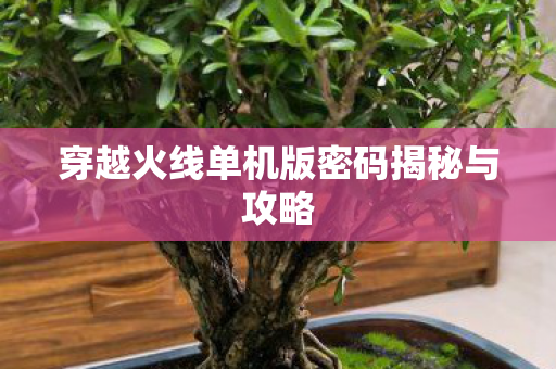 穿越火线单机版密码揭秘与攻略图片