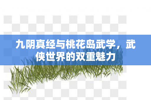 九阴真经与桃花岛武学图片