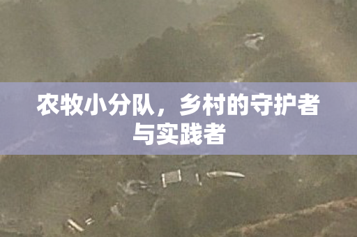 乡村的守护者与实践者图片