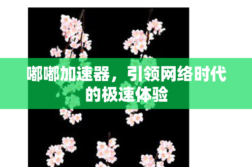 引领网络时代的极速体验图片