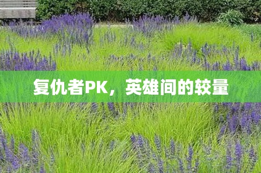 英雄间的较量图片