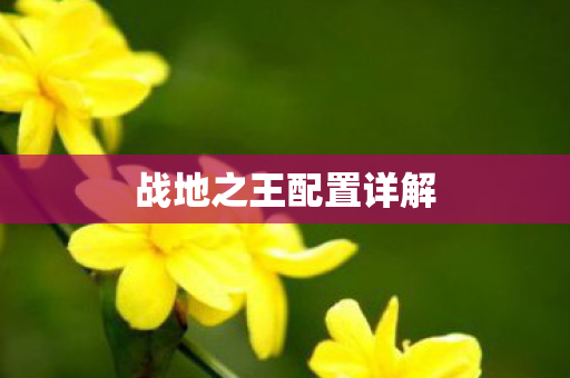 战地之王配置详解图片