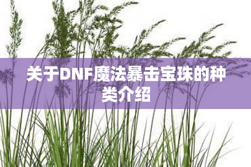 关于DNF魔法暴击宝珠的种类介绍图片