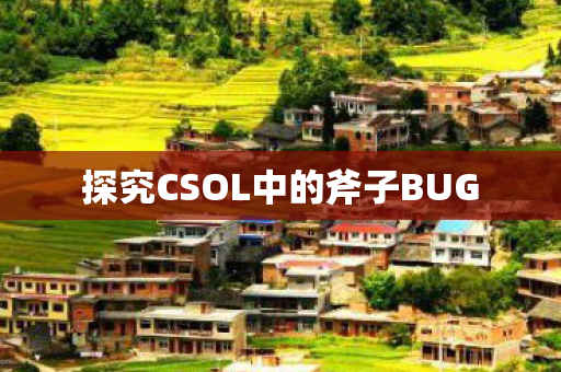 探究CSOL中的斧子BUG图片