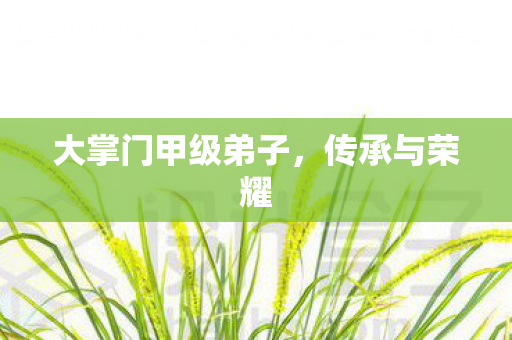 大掌门甲级弟子图片