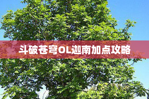 斗破苍穹OL迦南加点攻略图片