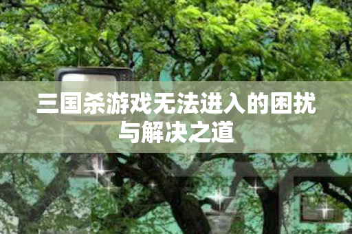 三国杀游戏无法进入的困扰与解决之道图片