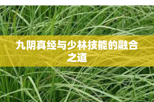 九阴真经与少林技能的融合之道图片