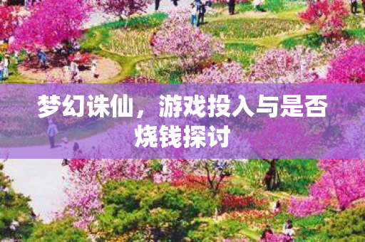 游戏投入与是否烧钱探讨图片
