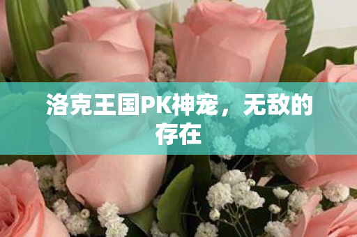 洛克王国PK神宠图片