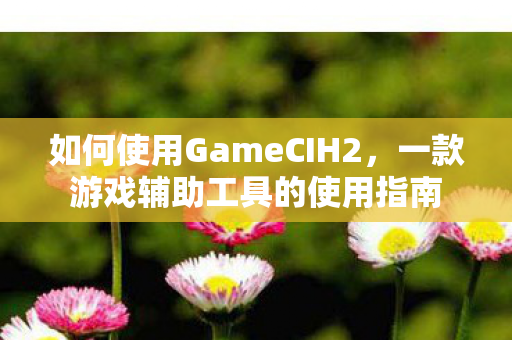 一款游戏辅助工具的使用指南图片