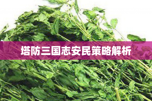 塔防三国志安民策略解析图片