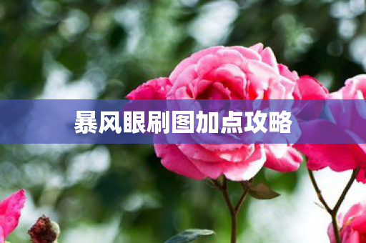 暴风眼刷图加点攻略图片