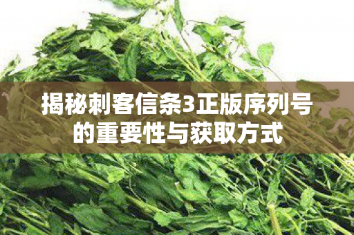 揭秘刺客信条3正版序列号的重要性与获取方式图片