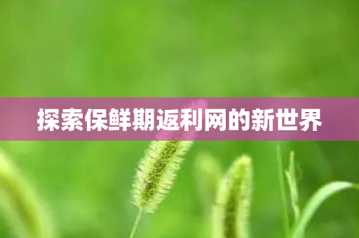 探索保鲜期返利网的新世界图片