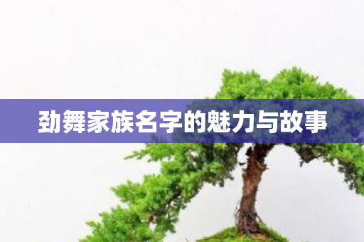 劲舞家族名字的魅力与故事图片