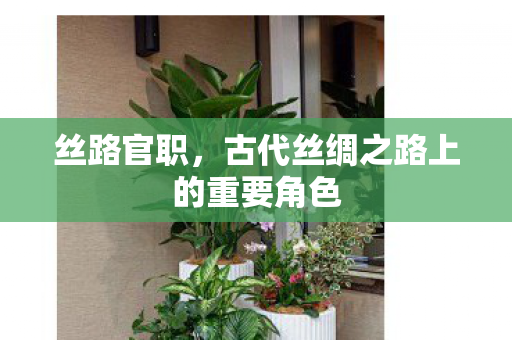 古代丝绸之路上的重要角色图片