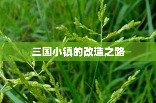 三国小镇的改造之路图片