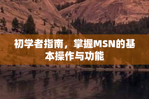 掌握MSN的基本操作与功能图片