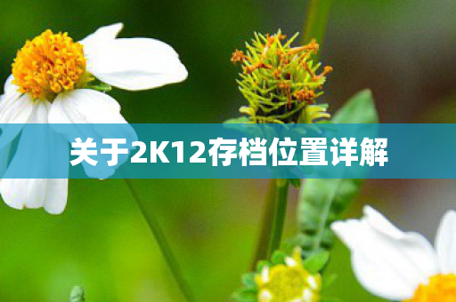 关于2K12存档位置详解图片