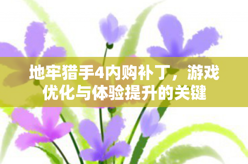 游戏优化与体验提升的关键图片