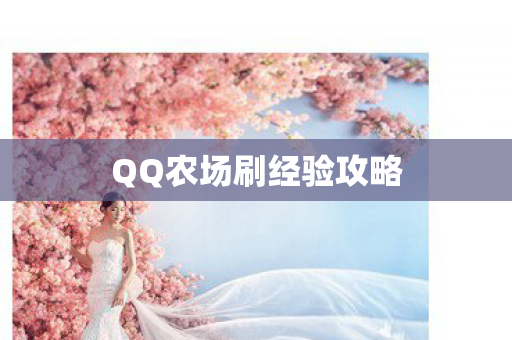 QQ农场刷经验攻略图片