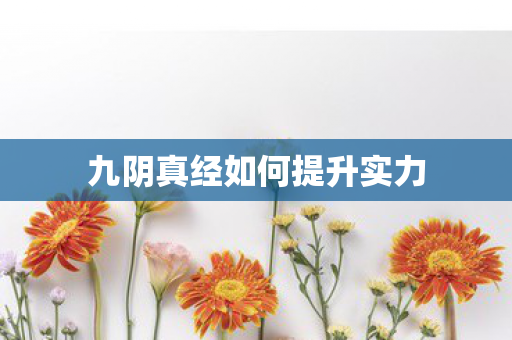 九阴真经如何提升实力图片