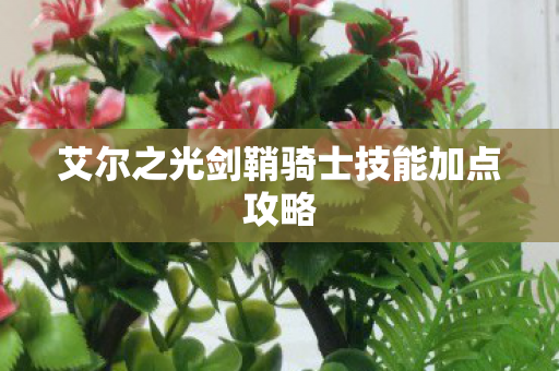 艾尔之光剑鞘骑士技能加点攻略图片