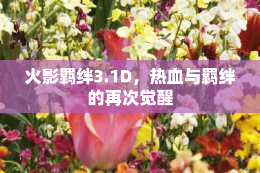 热血与羁绊的再次觉醒图片