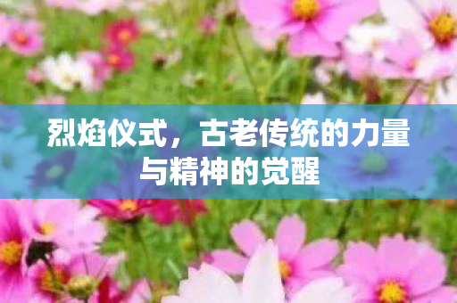 古老传统的力量与精神的觉醒图片
