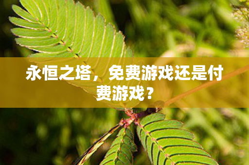免费游戏还是付费游戏图片