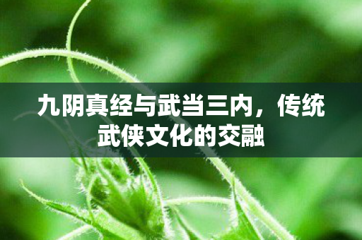 九阴真经与武当三内图片