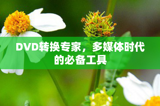 多媒体时代的必备工具图片