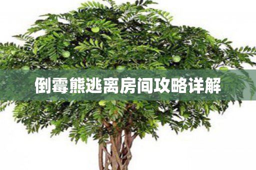 倒霉熊逃离房间攻略详解图片