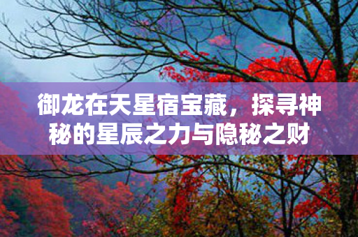 探寻神秘的星辰之力与隐秘之财图片