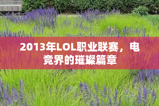 2013年LOL职业联赛图片