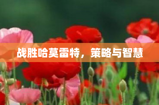 战胜哈莫雷特图片