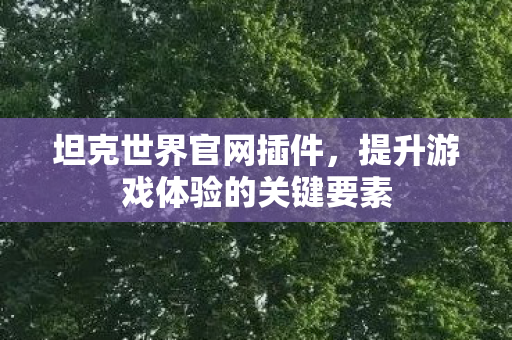 提升游戏体验的关键要素图片