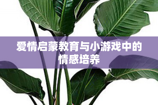 爱情启蒙教育与小游戏中的情感培养图片
